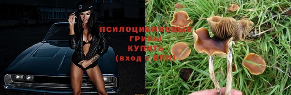 a pvp Абдулино