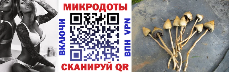Псилоцибиновые грибы мицелий Сызрань